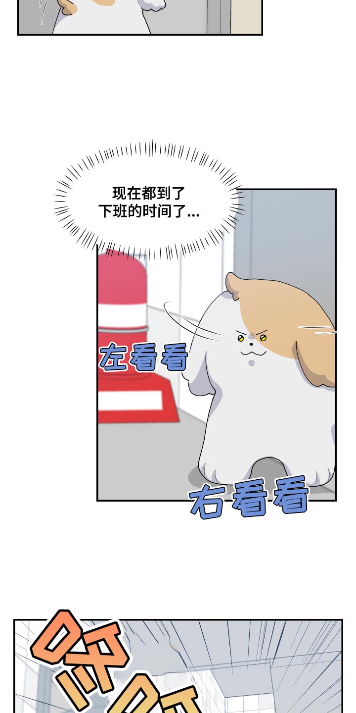 《荒唐的愿望》漫画最新章节第17章：尾巴免费下拉式在线观看章节第【17】张图片