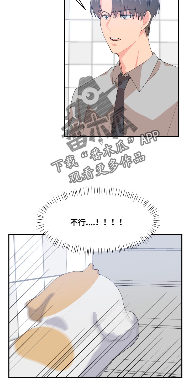 《荒唐的愿望》漫画最新章节第17章：尾巴免费下拉式在线观看章节第【12】张图片