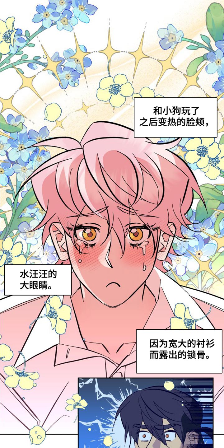 《帮助梦魔》漫画最新章节第20章：拼尽全力免费下拉式在线观看章节第【20】张图片