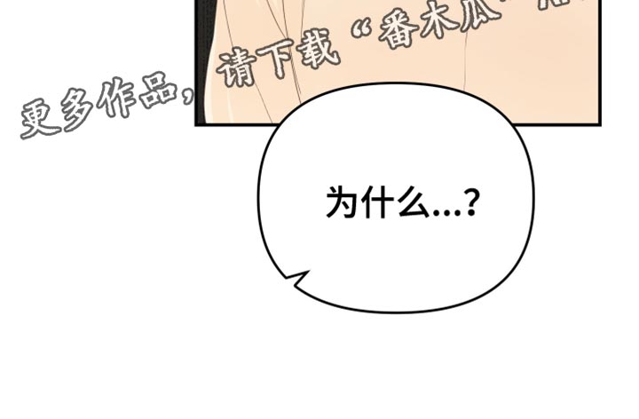 《赌徒危机》漫画最新章节第40章：完美的免费下拉式在线观看章节第【1】张图片