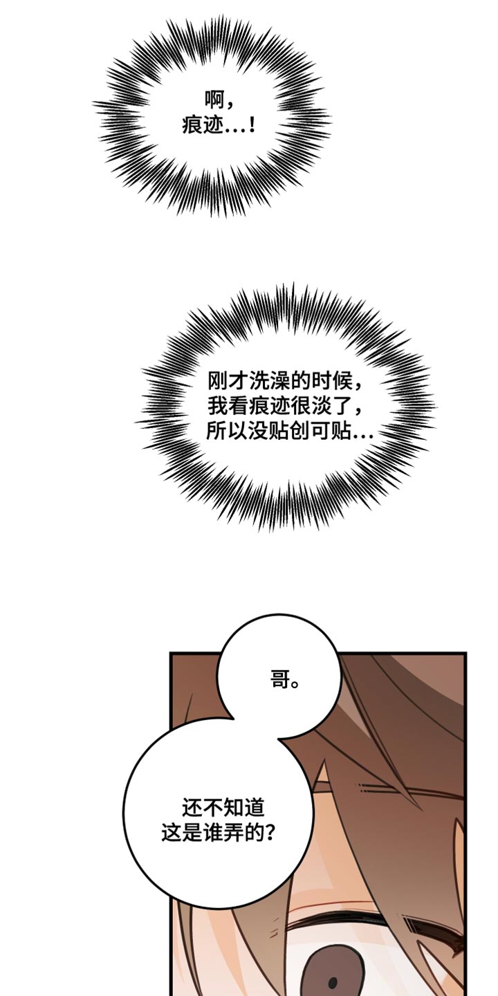 《谁吻了我》漫画最新章节第37章：找到犯人免费下拉式在线观看章节第【5】张图片