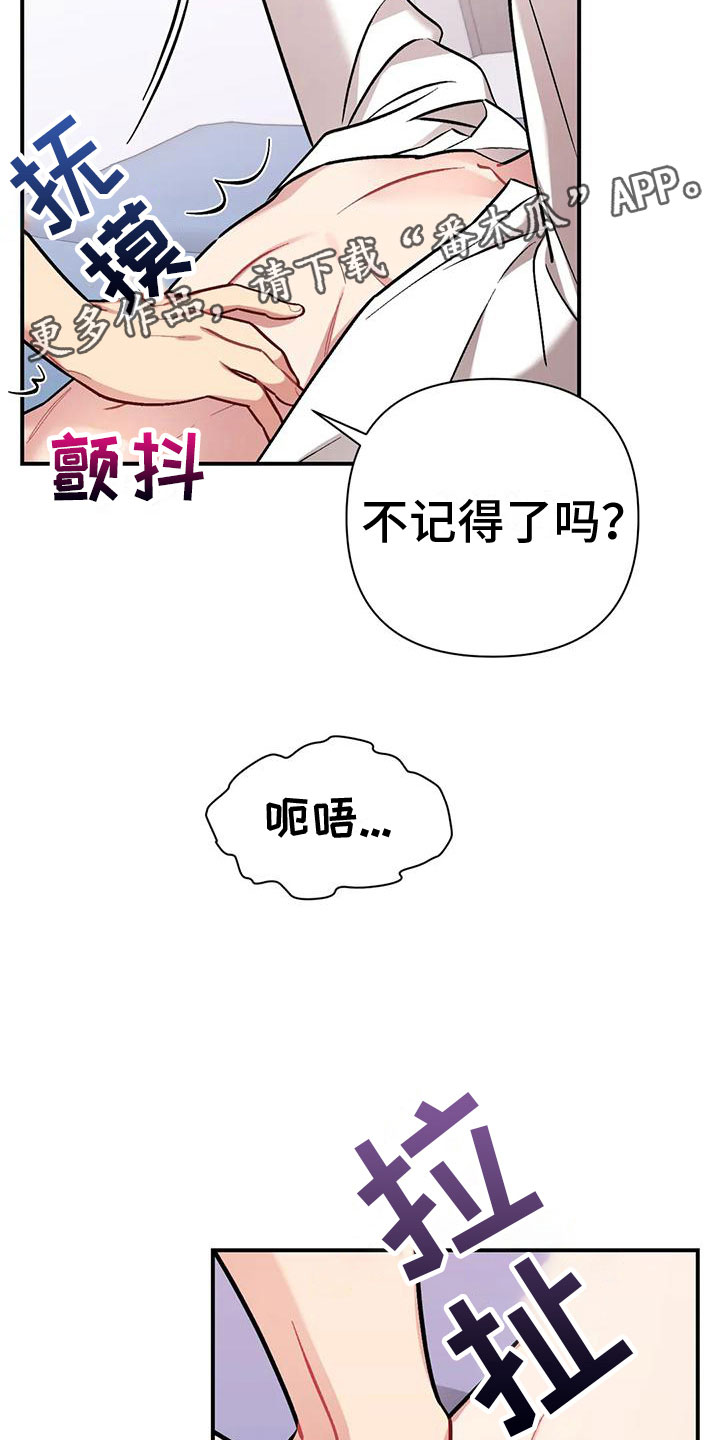 《这就是命运》漫画最新章节第12章：目击免费下拉式在线观看章节第【2】张图片