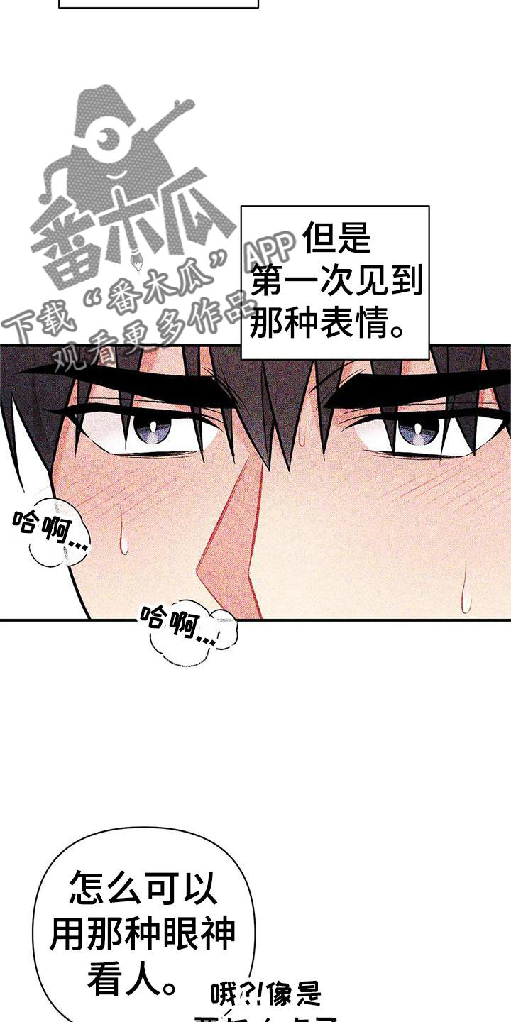 《这就是命运》漫画最新章节第21章：撞见免费下拉式在线观看章节第【16】张图片