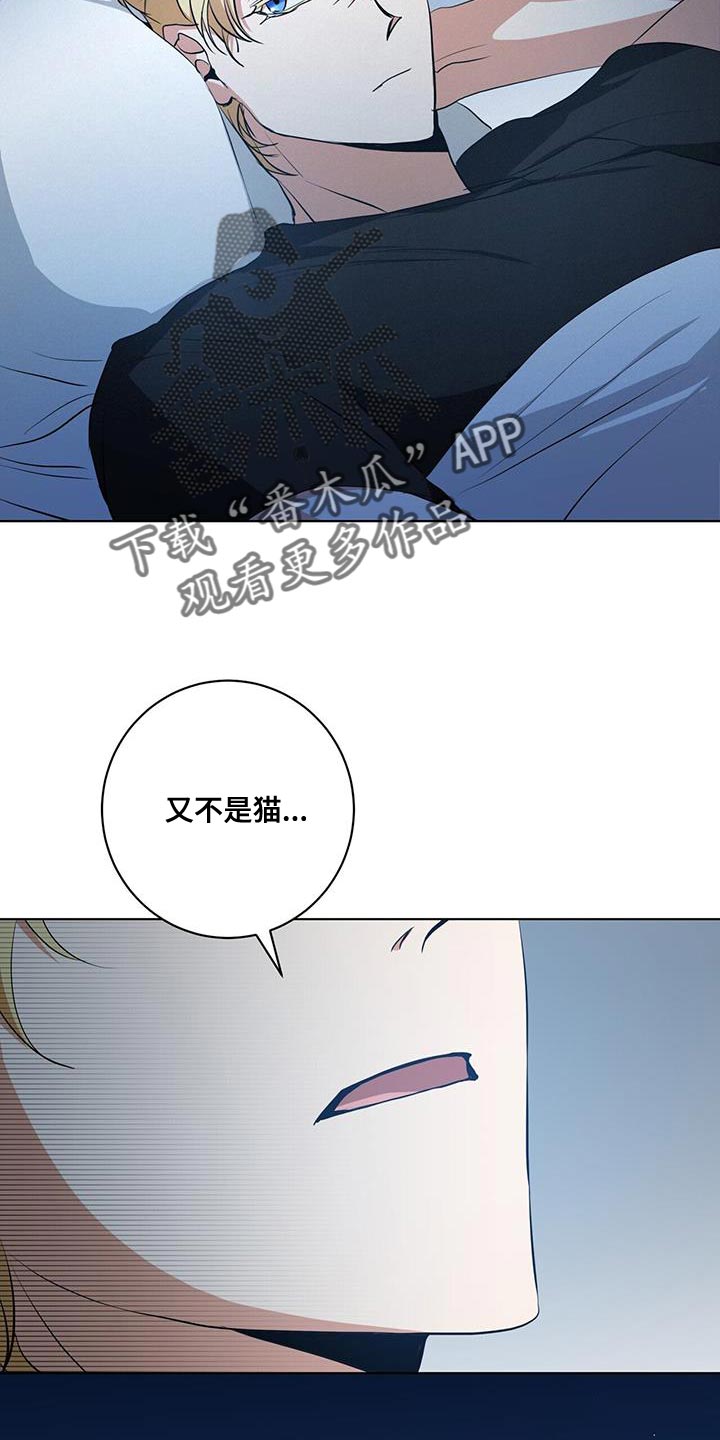 《吸血鬼特工》漫画最新章节第25章：为什么没人叫我！免费下拉式在线观看章节第【16】张图片