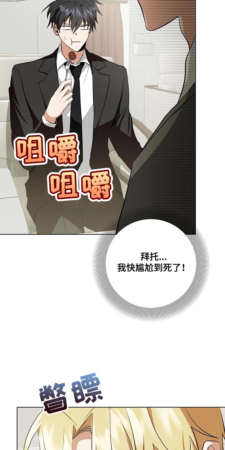 《吸血鬼特工》漫画最新章节第27章：私人飞机免费下拉式在线观看章节第【8】张图片