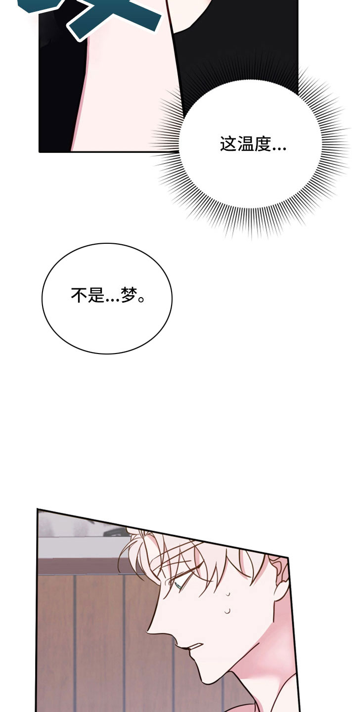 《虎的声音》漫画最新章节第31章：消失的记忆免费下拉式在线观看章节第【12】张图片