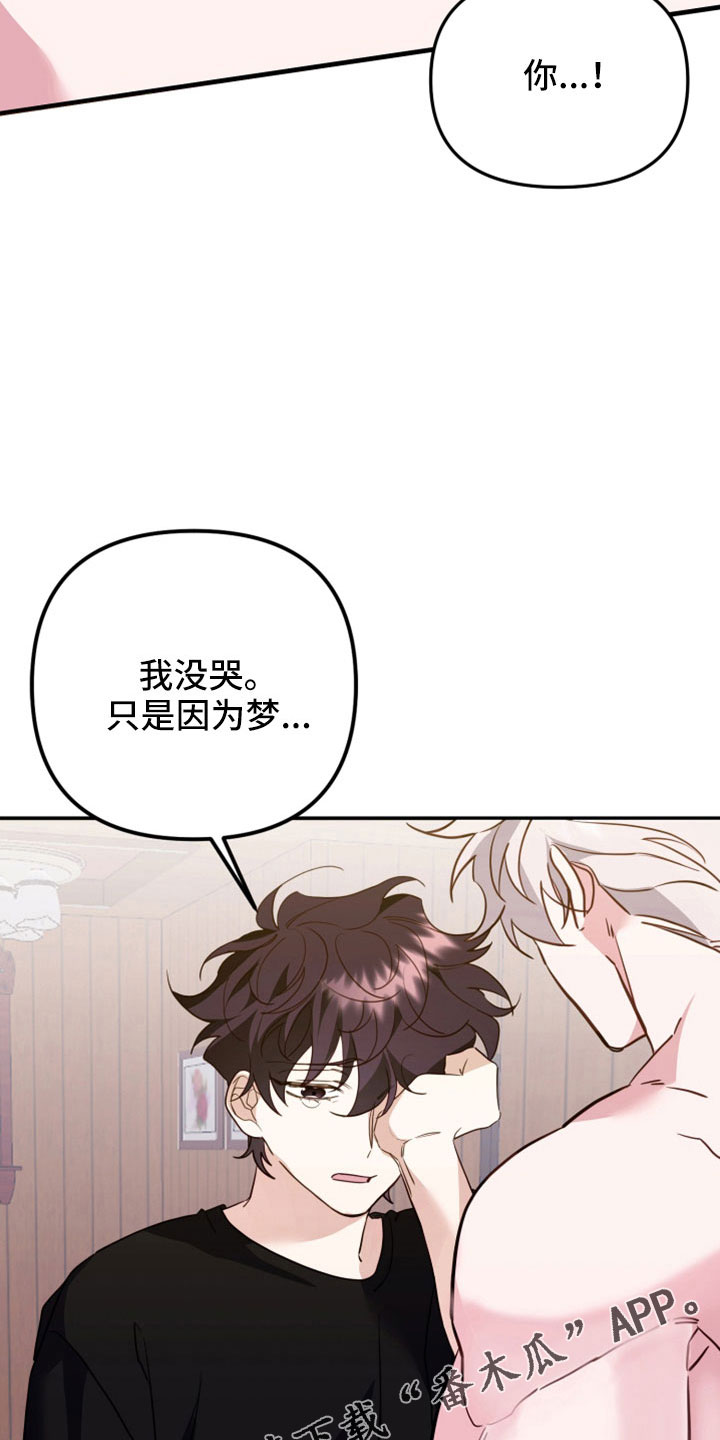 《虎的声音》漫画最新章节第31章：消失的记忆免费下拉式在线观看章节第【15】张图片