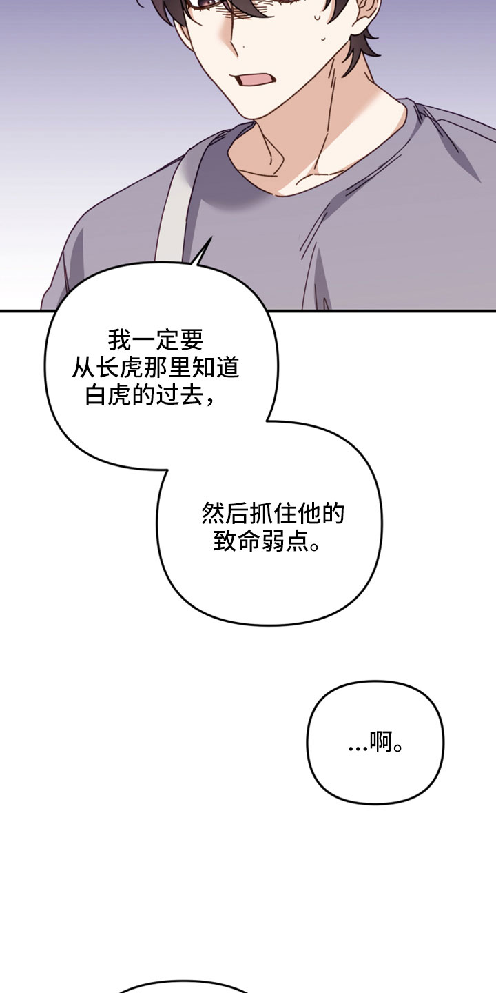 《虎的声音》漫画最新章节第49章：致命弱点免费下拉式在线观看章节第【11】张图片