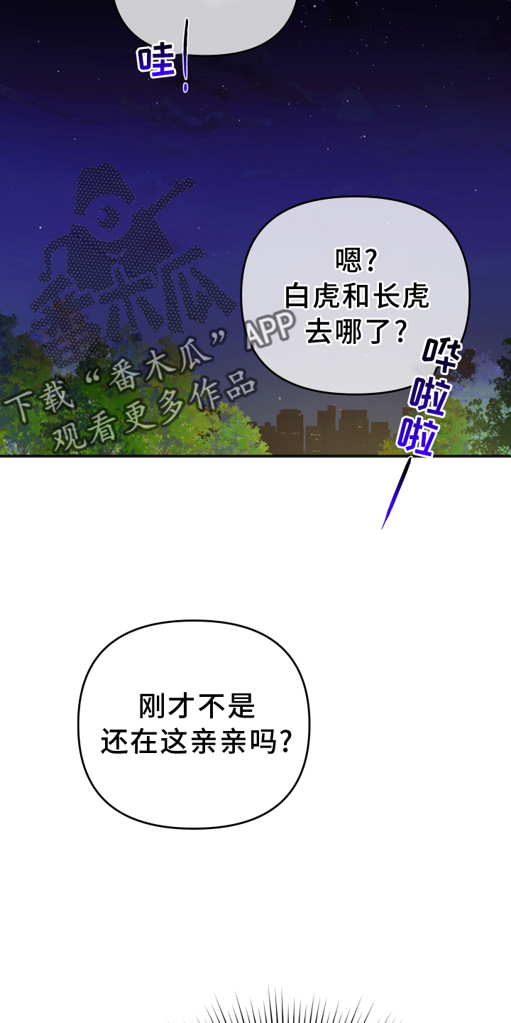 《虎的声音》漫画最新章节第61章：制止免费下拉式在线观看章节第【25】张图片