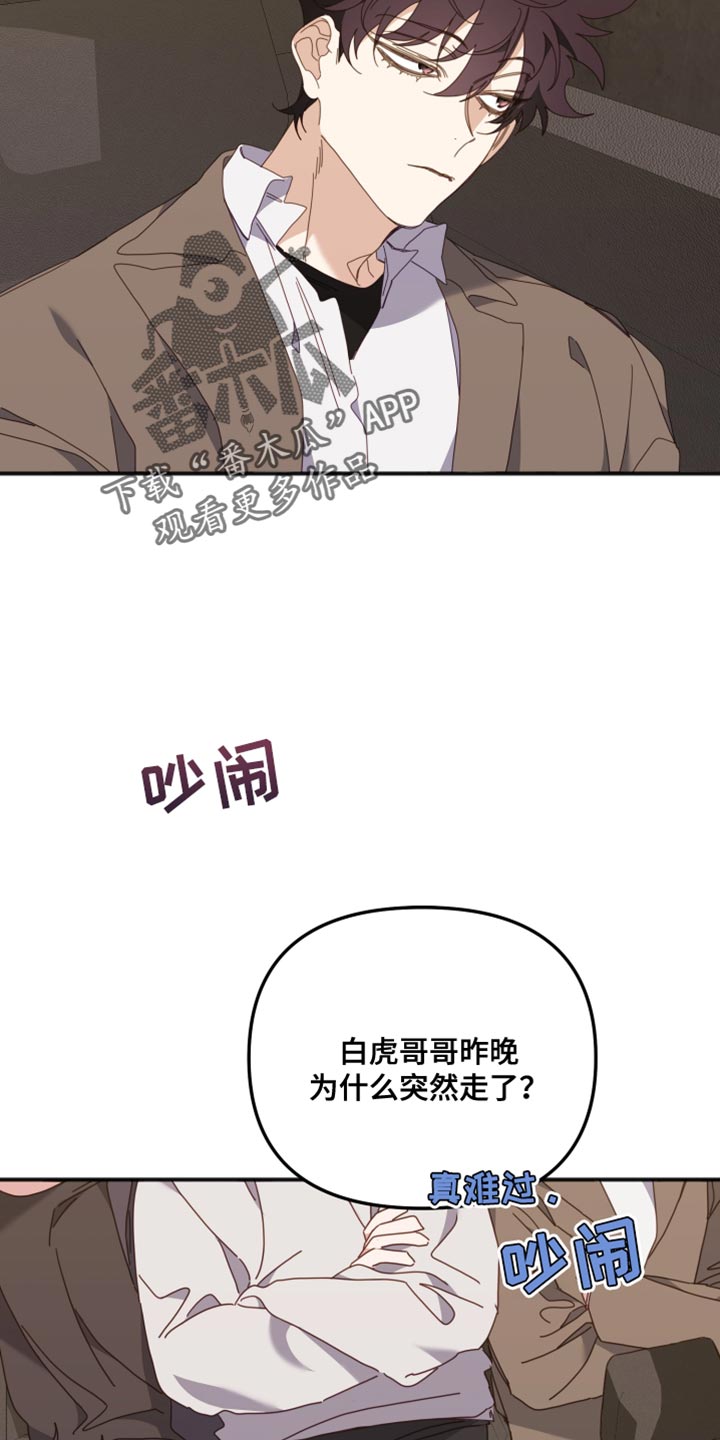 《虎的声音》漫画最新章节第65章：特别的原因免费下拉式在线观看章节第【29】张图片