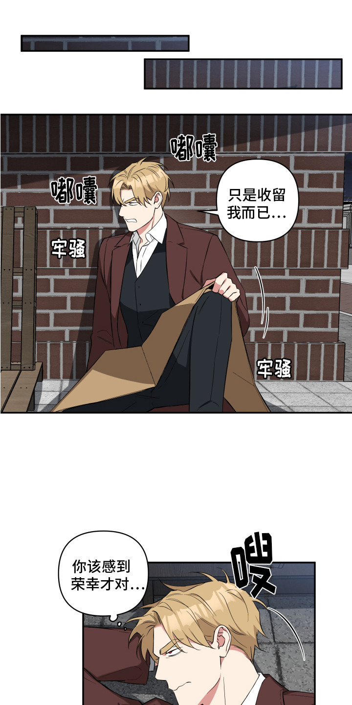 《倒霉的吸血鬼》漫画最新章节第5章：无处可去免费下拉式在线观看章节第【6】张图片