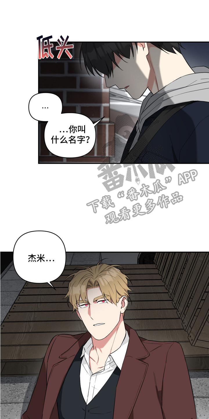 《倒霉的吸血鬼》漫画最新章节第6章：收留免费下拉式在线观看章节第【16】张图片