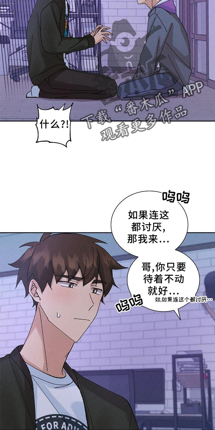 《别样的安慰》漫画最新章节第10章：结束免费下拉式在线观看章节第【13】张图片