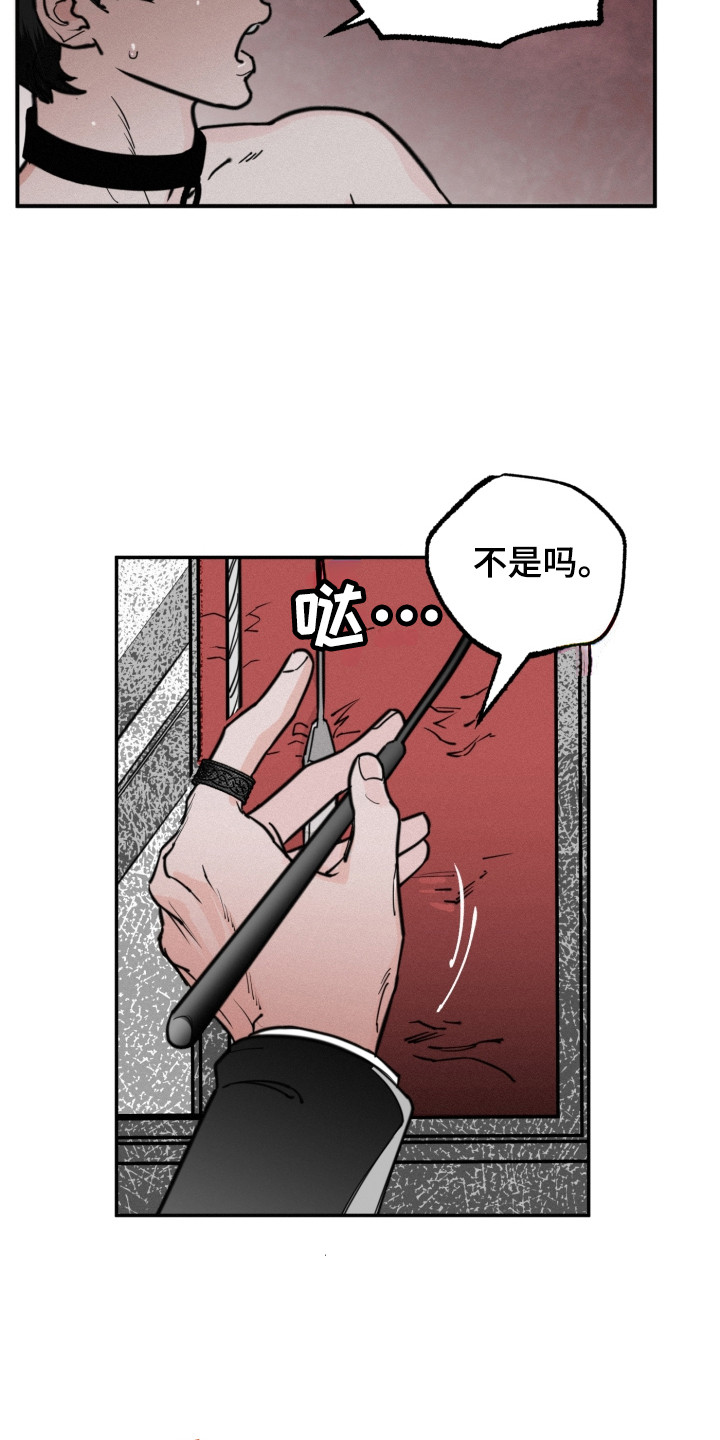 《血腥宠儿》漫画最新章节第2章：主人免费下拉式在线观看章节第【3】张图片