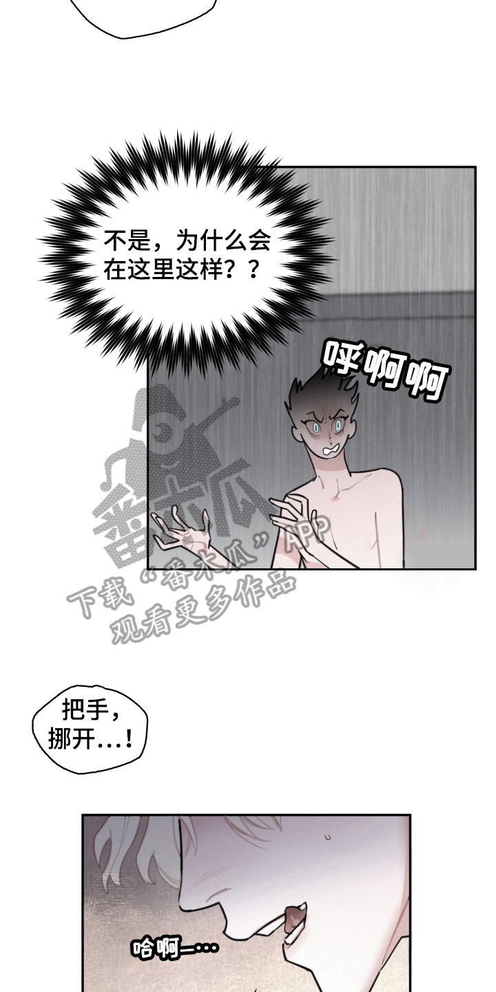 《血腥宠儿》漫画最新章节第6章：疯了免费下拉式在线观看章节第【12】张图片