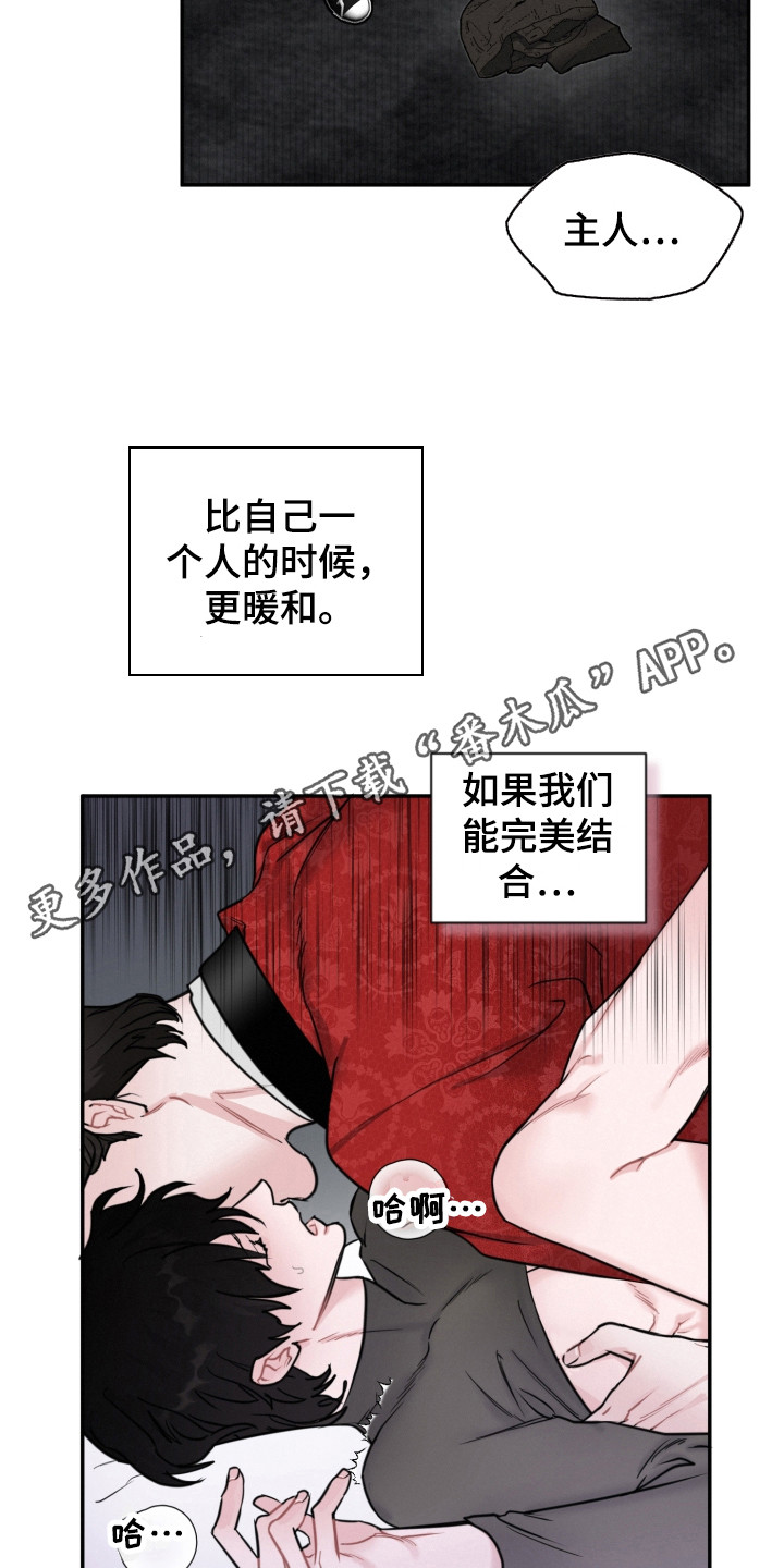 《血腥宠儿》漫画最新章节第14章：调查免费下拉式在线观看章节第【10】张图片