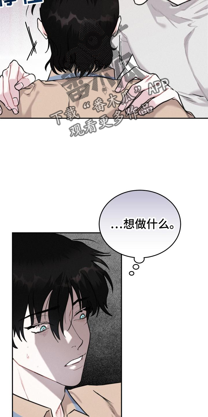 《血腥宠儿》漫画最新章节第27章：我要血免费下拉式在线观看章节第【26】张图片