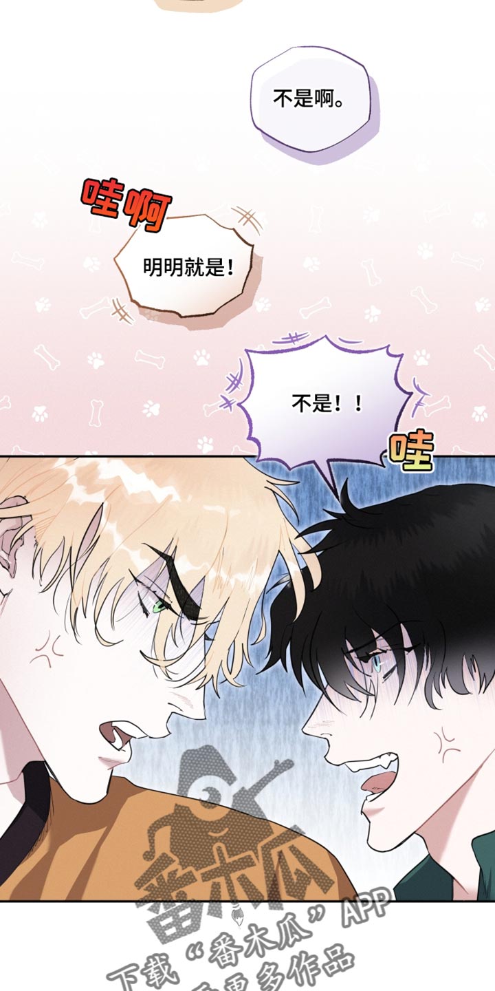 《血腥宠儿》漫画最新章节第33章：我们确认看看免费下拉式在线观看章节第【8】张图片