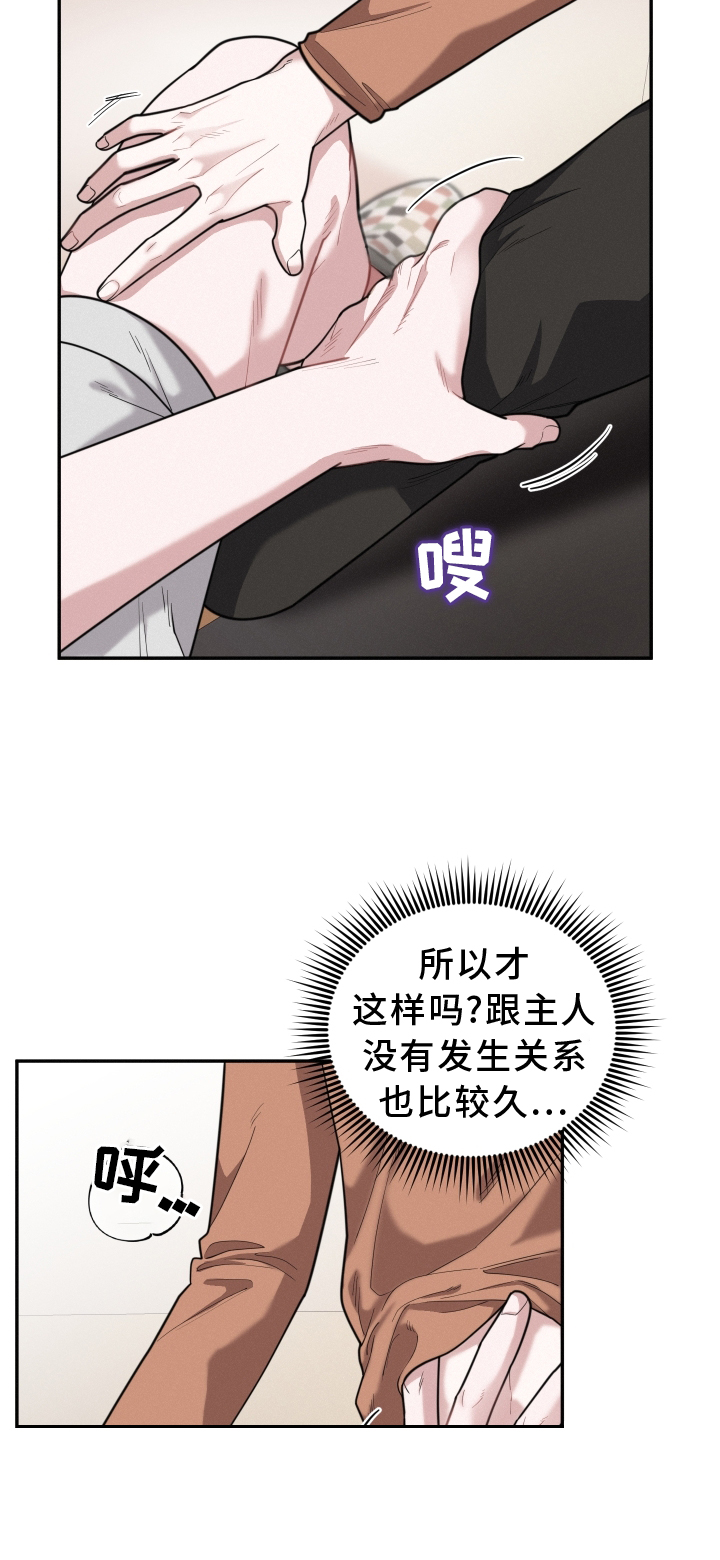 《血腥宠儿》漫画最新章节第46章：期待免费下拉式在线观看章节第【16】张图片