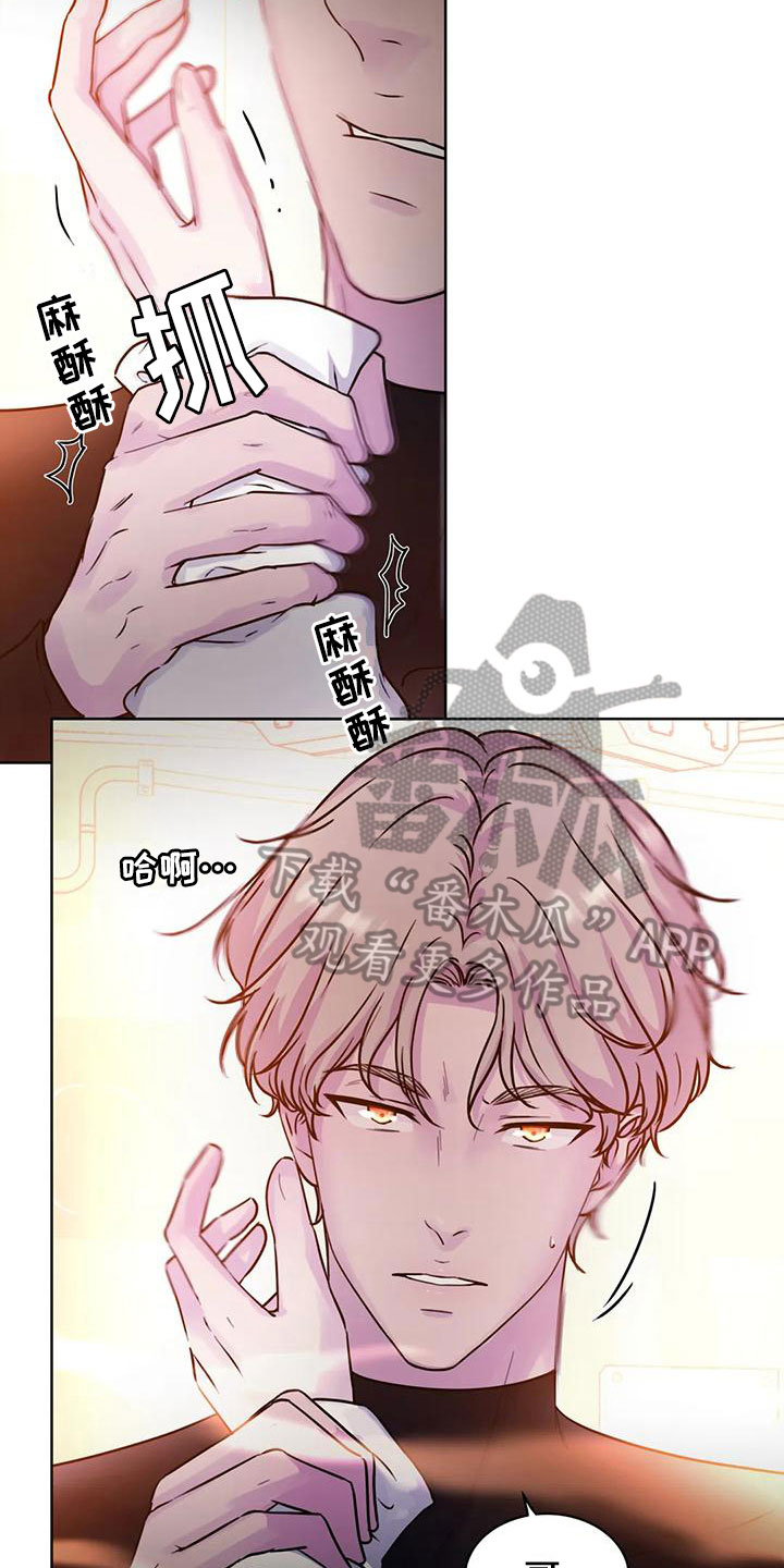 《最后的净土》漫画最新章节第22章：需要帮助免费下拉式在线观看章节第【4】张图片