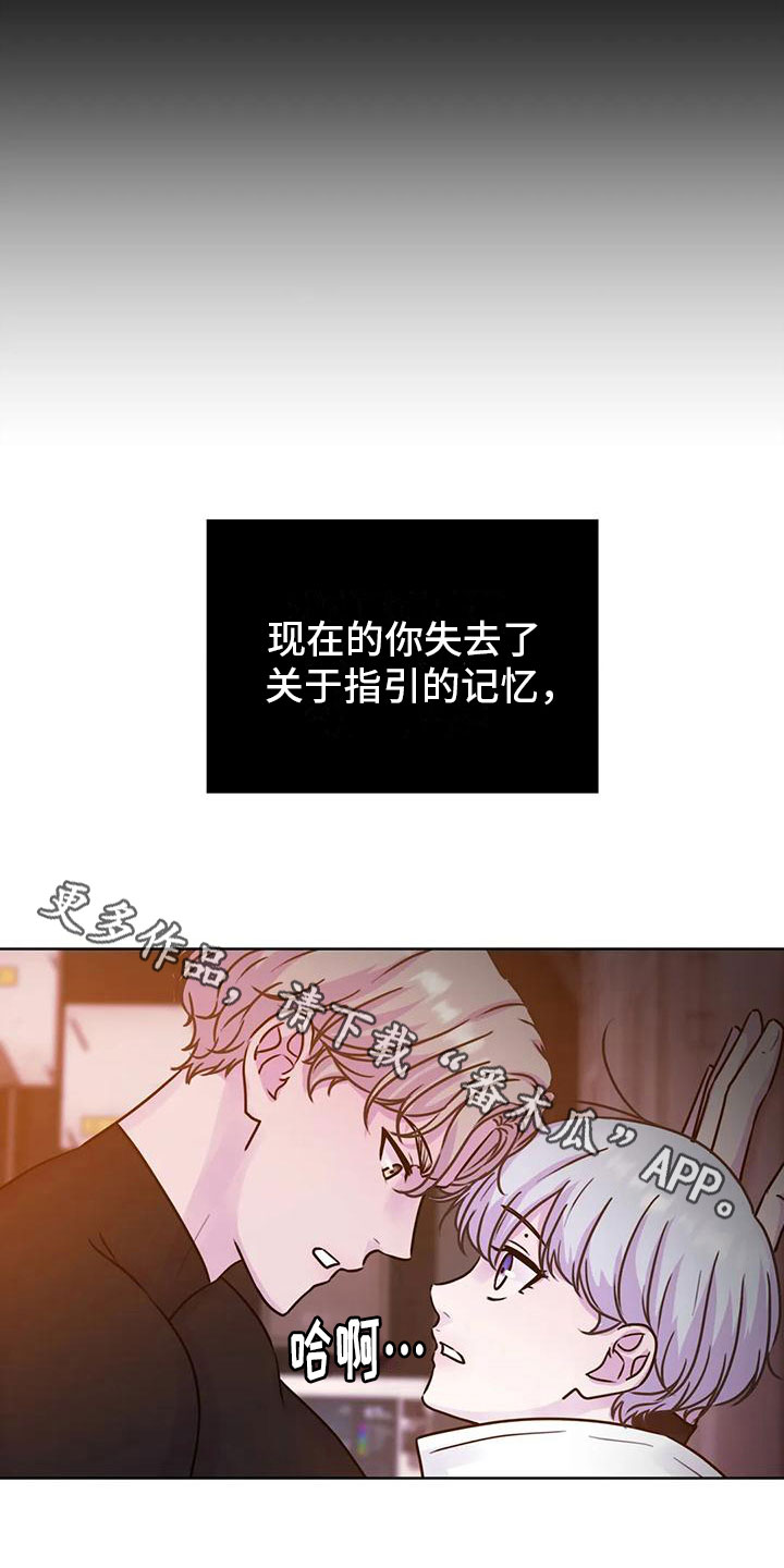 《最后的净土》漫画最新章节第23章：指引免费下拉式在线观看章节第【2】张图片