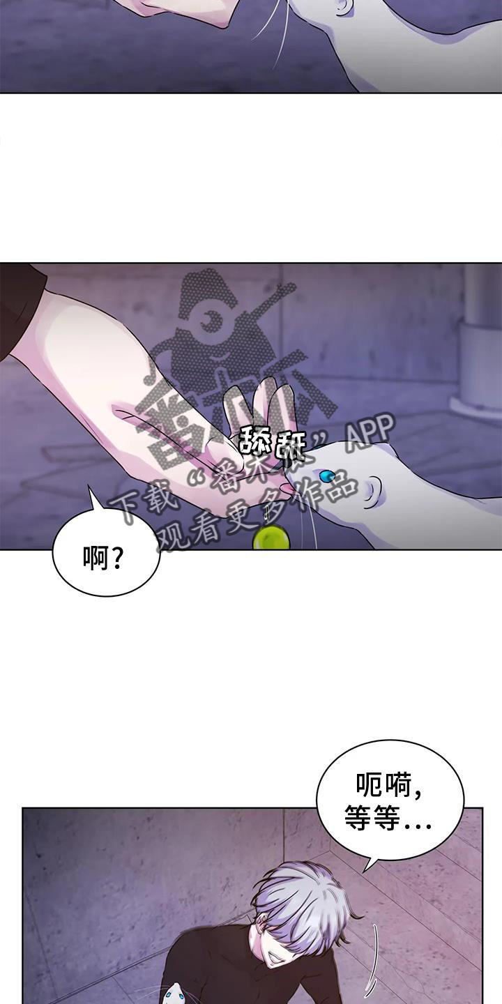 《最后的净土》漫画最新章节第33章：头晕免费下拉式在线观看章节第【11】张图片