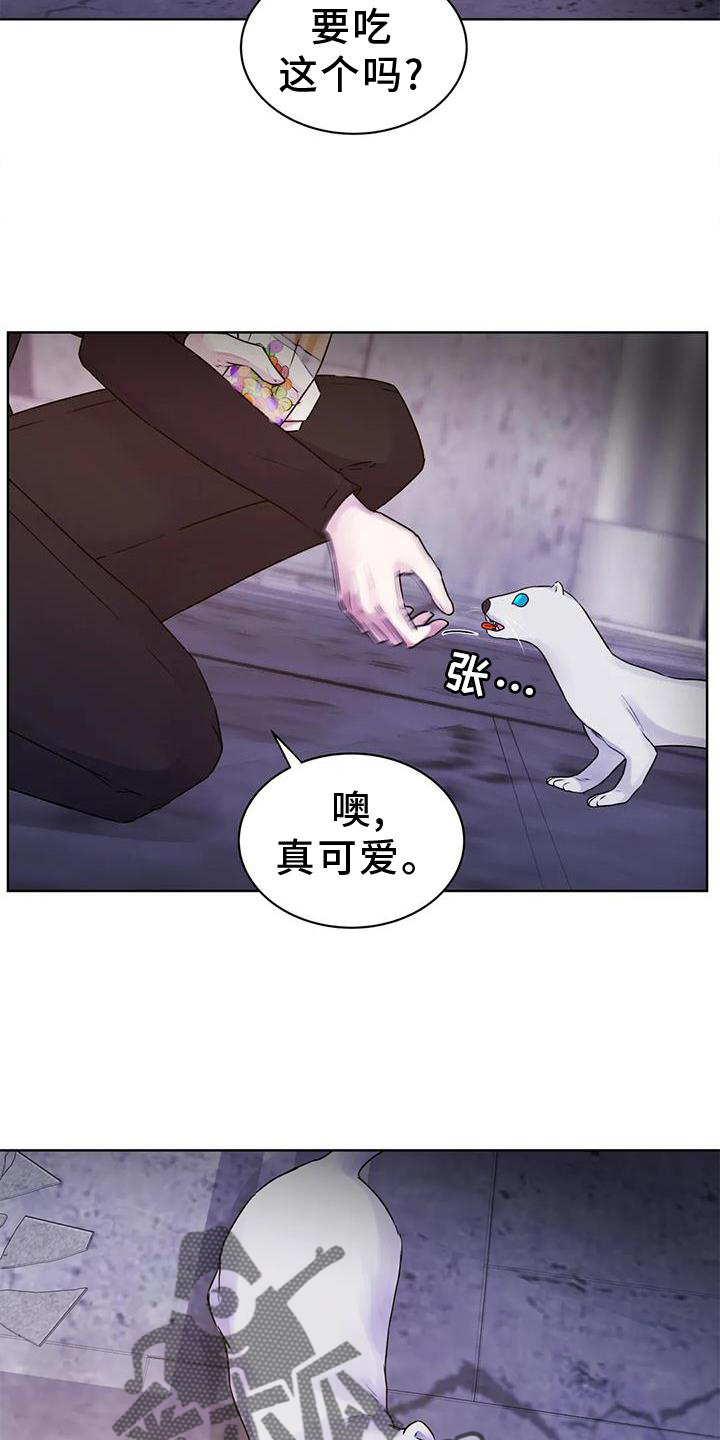 《最后的净土》漫画最新章节第33章：头晕免费下拉式在线观看章节第【14】张图片