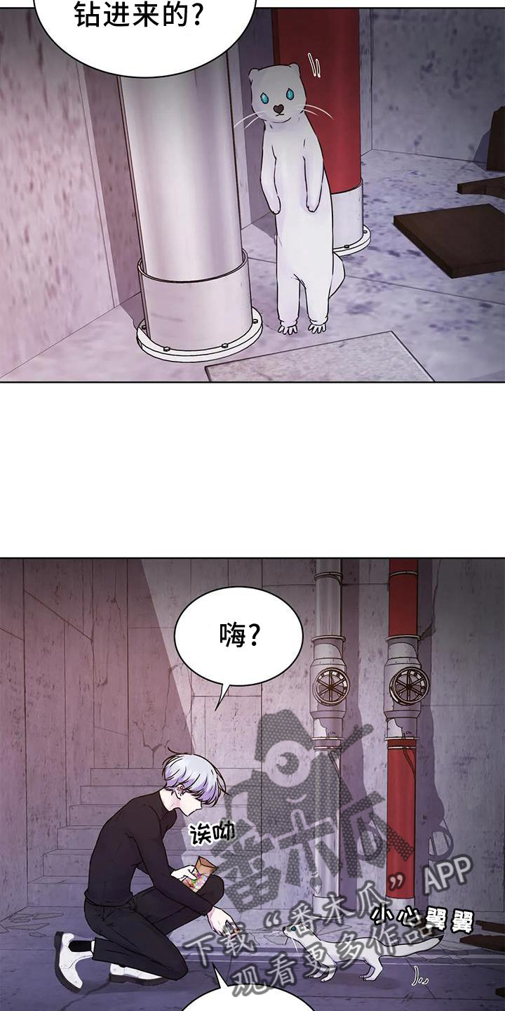 【最后的净土】漫画-（第33章：头晕）章节漫画下拉式图片-12.jpg