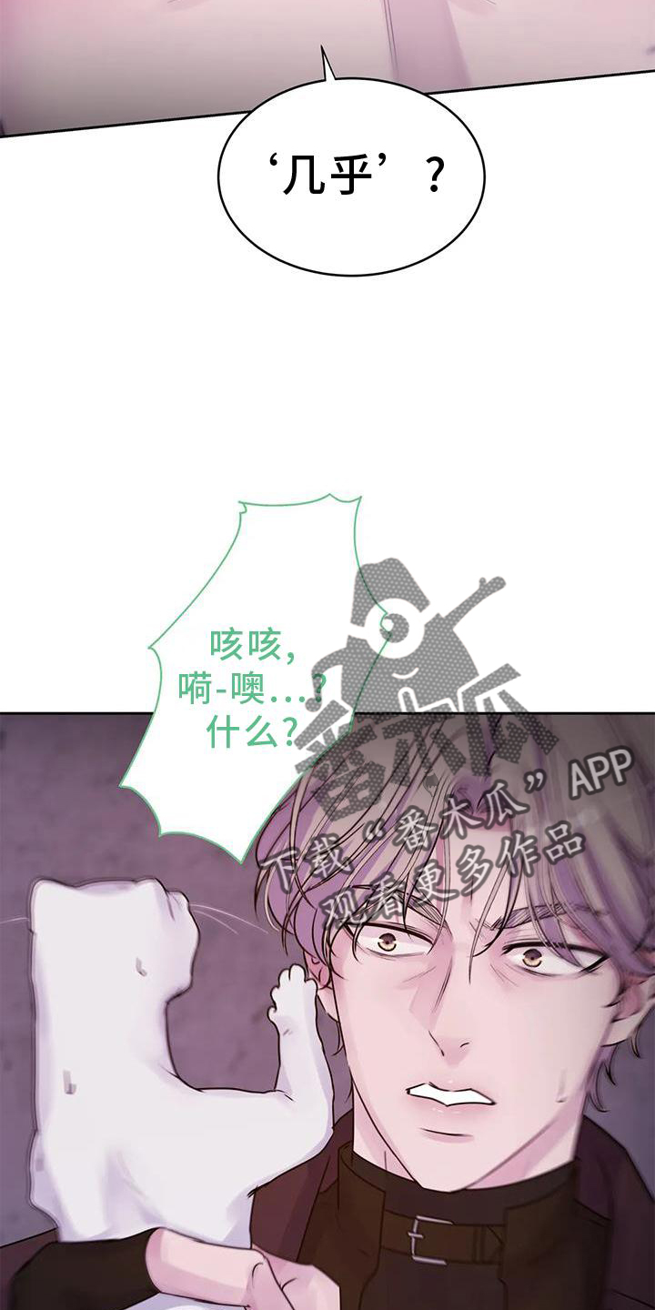 《最后的净土》漫画最新章节第37章：醒了免费下拉式在线观看章节第【12】张图片