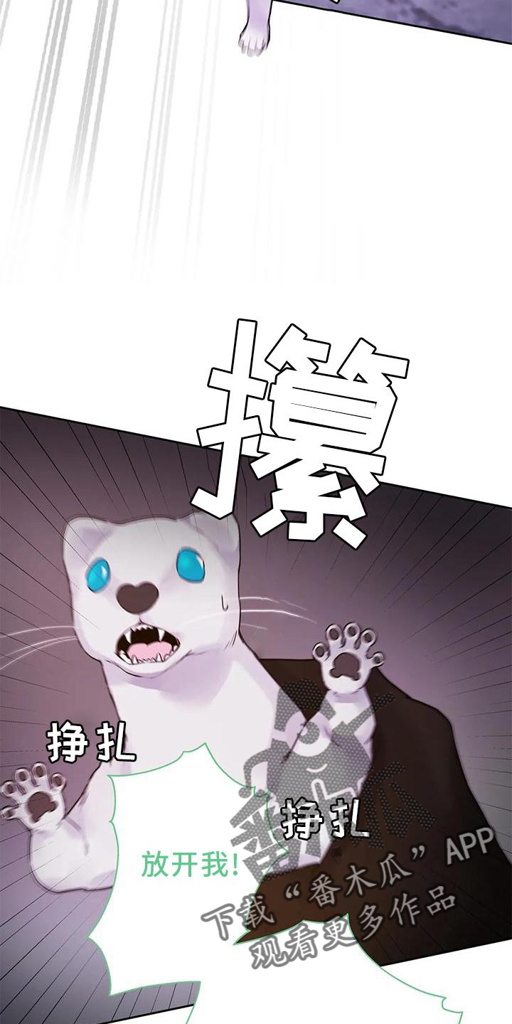 《最后的净土》漫画最新章节第37章：醒了免费下拉式在线观看章节第【16】张图片