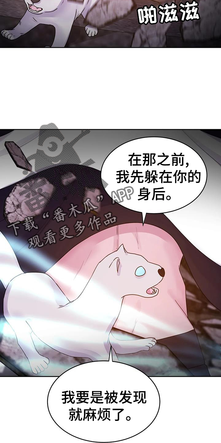 《最后的净土》漫画最新章节第66章：诱饵免费下拉式在线观看章节第【17】张图片