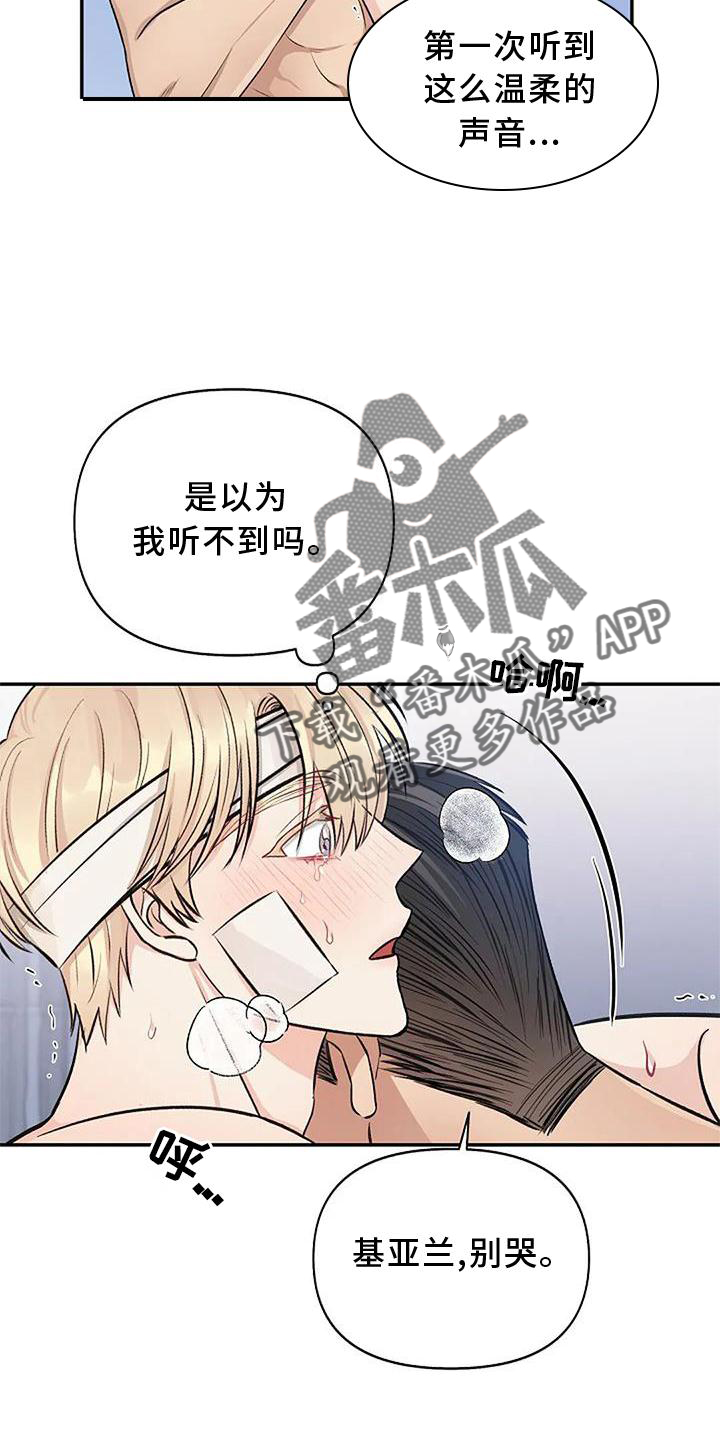 《真正的面目》漫画最新章节第18章：喜爱免费下拉式在线观看章节第【6】张图片