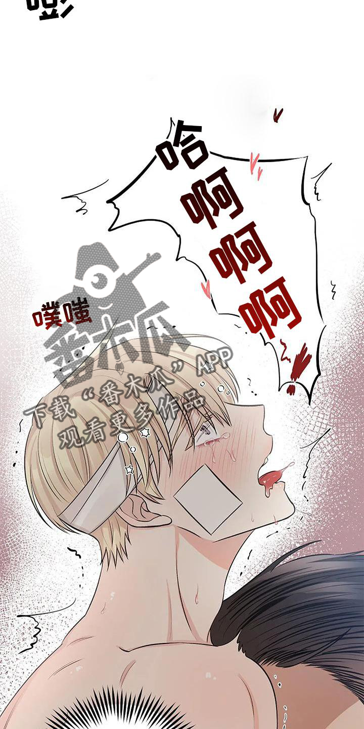 《真正的面目》漫画最新章节第18章：喜爱免费下拉式在线观看章节第【11】张图片