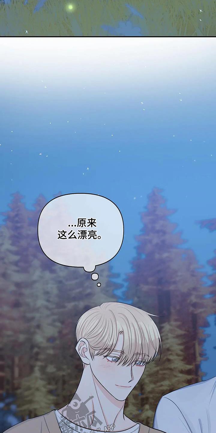 《真正的面目》漫画最新章节第30章：宁静免费下拉式在线观看章节第【13】张图片