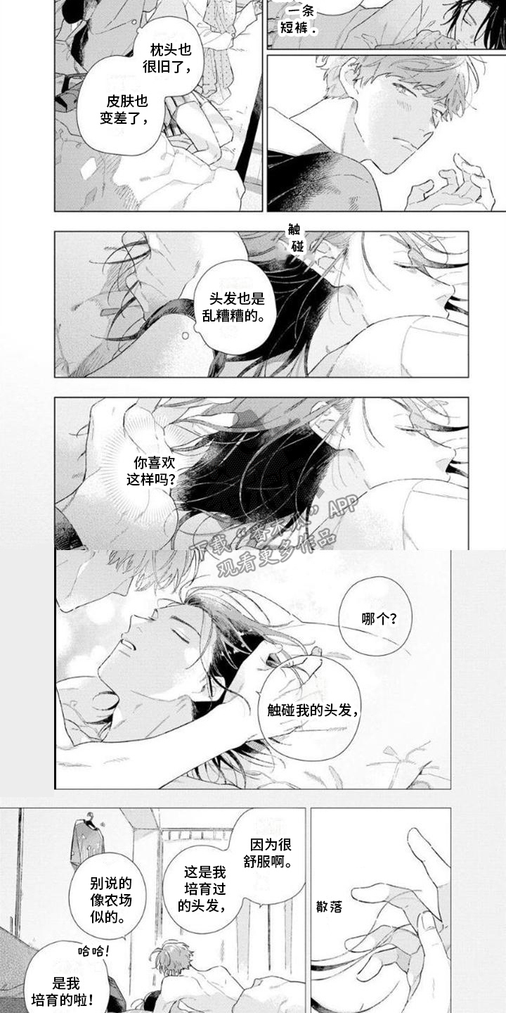 《无法忘怀》漫画最新章节第5章：怀念免费下拉式在线观看章节第【5】张图片