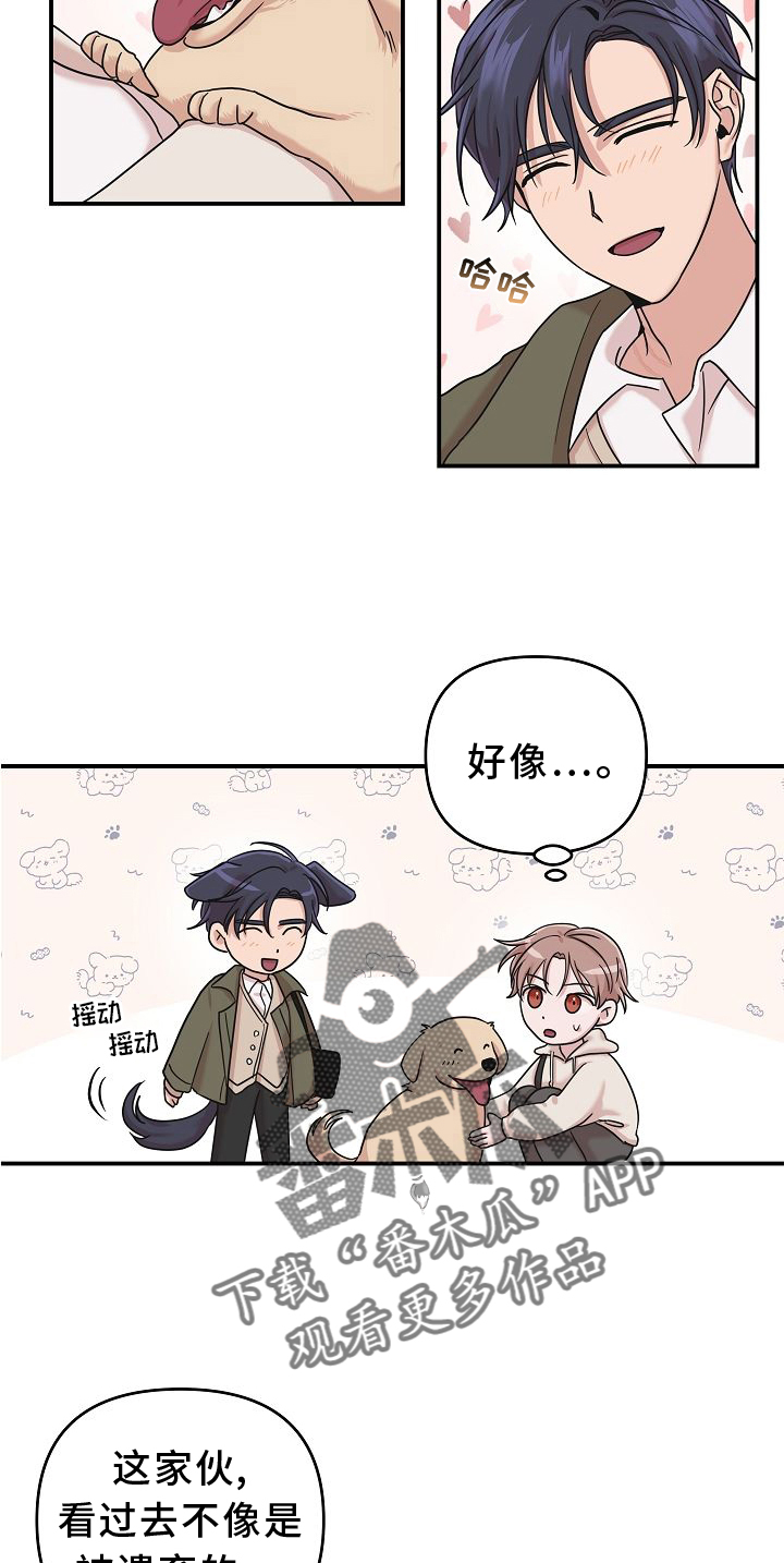 《吸血鬼困局》漫画最新章节第15章：找寻免费下拉式在线观看章节第【7】张图片