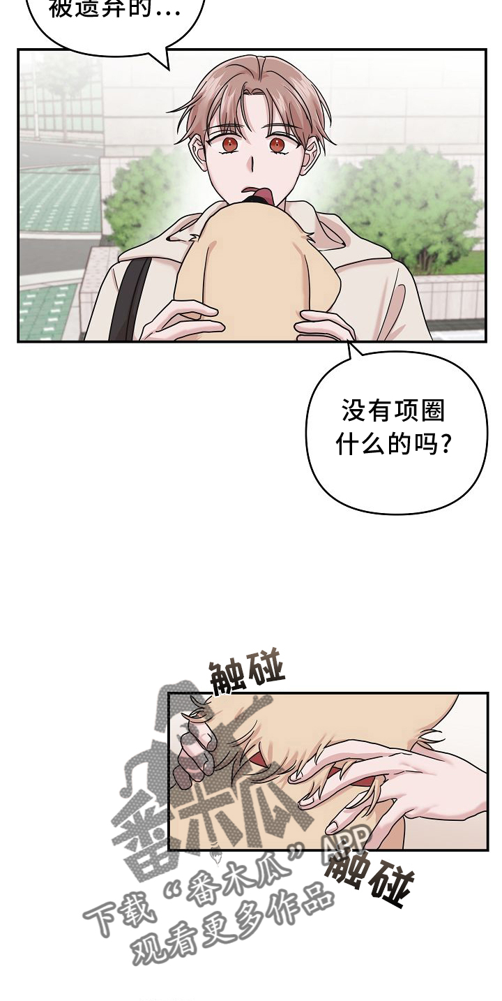 《吸血鬼困局》漫画最新章节第15章：找寻免费下拉式在线观看章节第【6】张图片