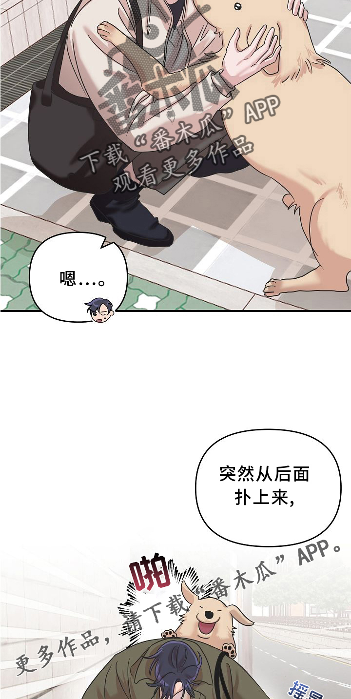 《吸血鬼困局》漫画最新章节第15章：找寻免费下拉式在线观看章节第【10】张图片