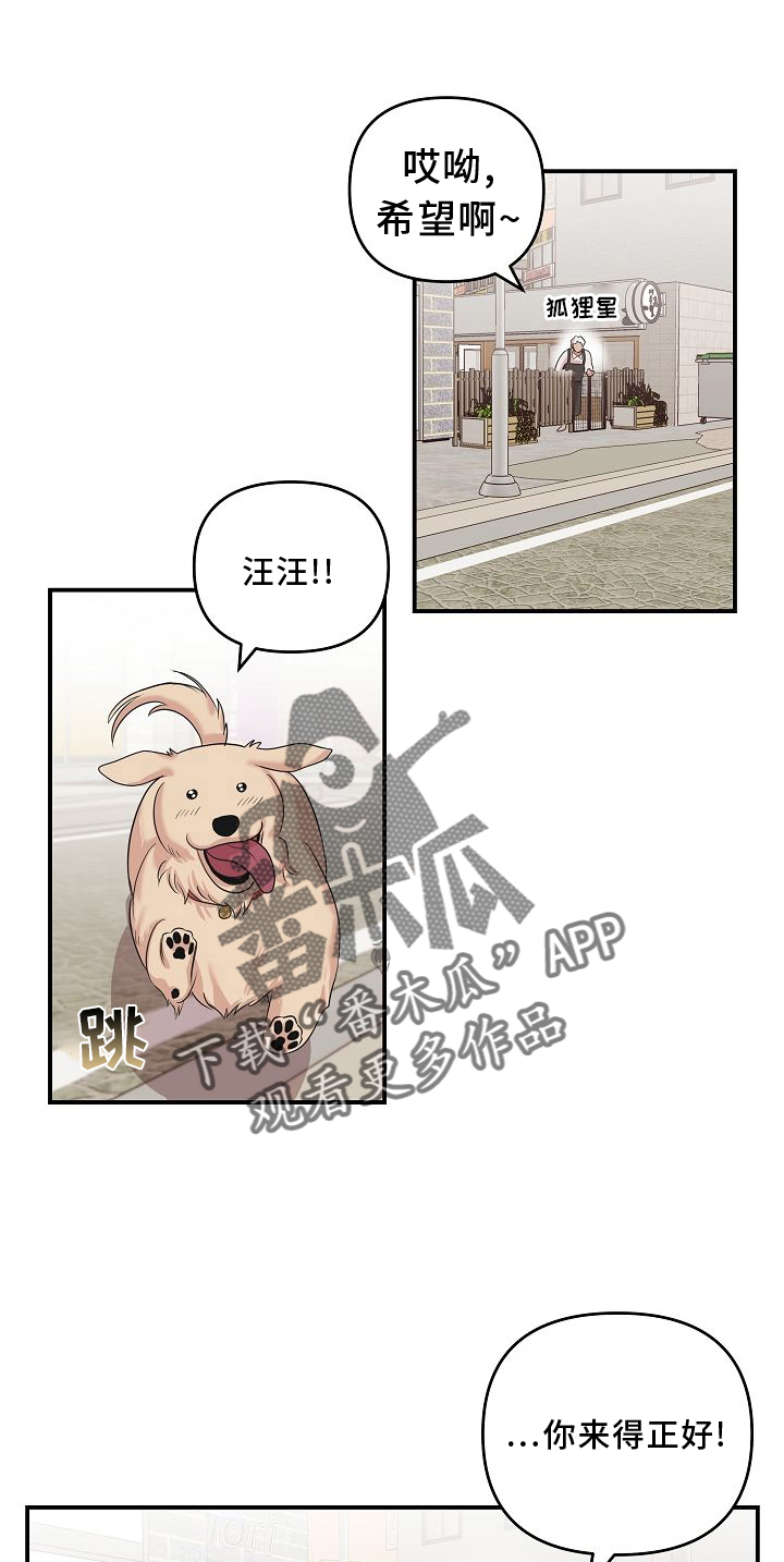 《吸血鬼困局》漫画最新章节第16章：相似免费下拉式在线观看章节第【14】张图片