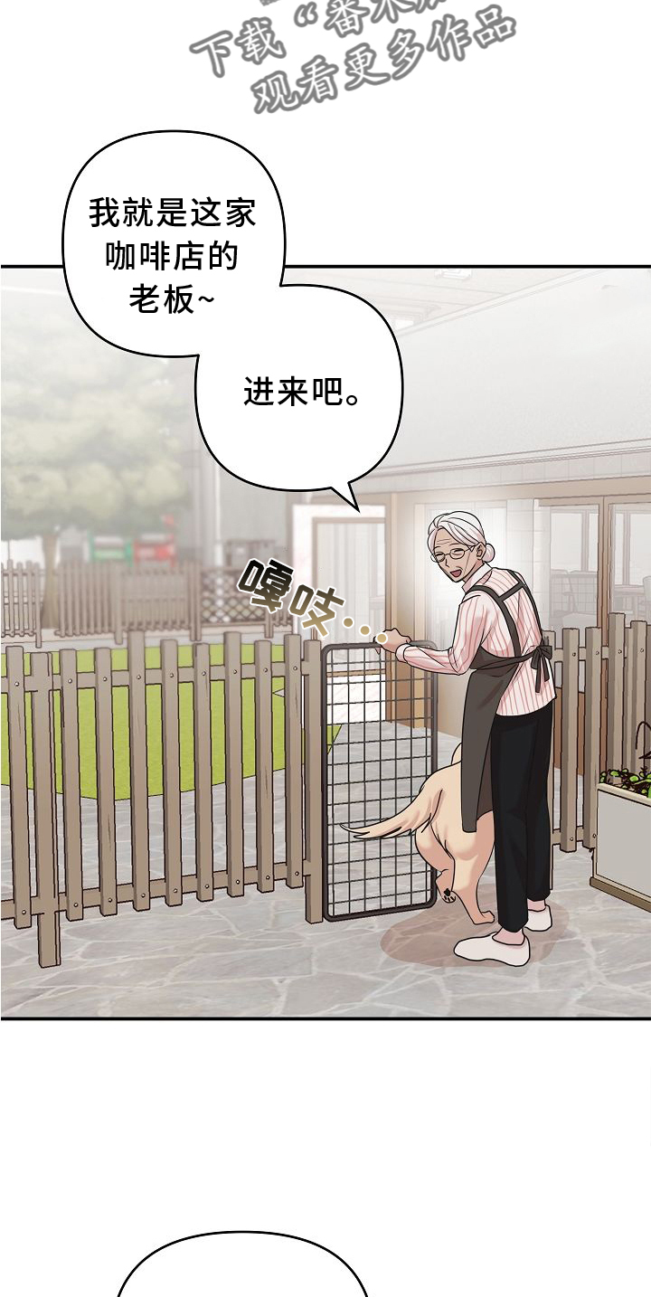 《吸血鬼困局》漫画最新章节第16章：相似免费下拉式在线观看章节第【11】张图片