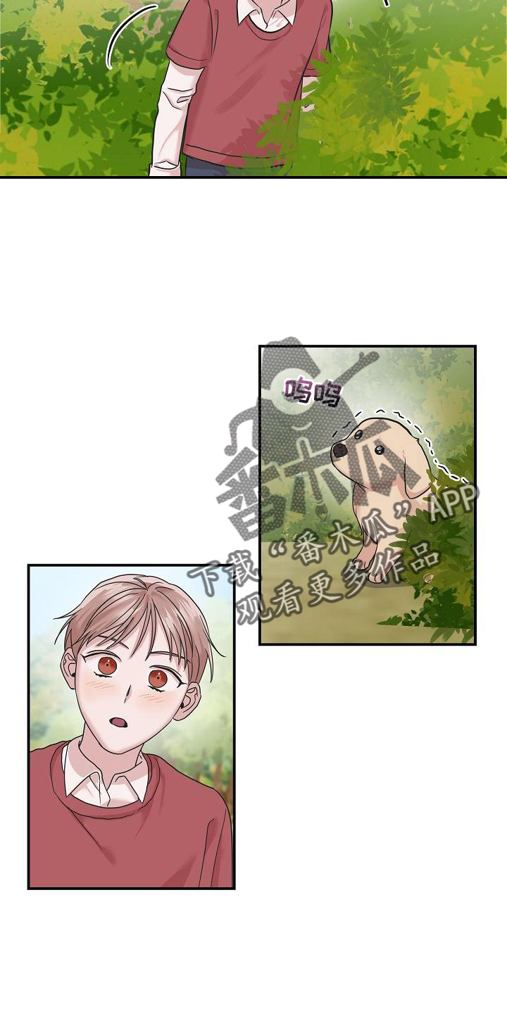 《吸血鬼困局》漫画最新章节第17章：喜欢免费下拉式在线观看章节第【17】张图片