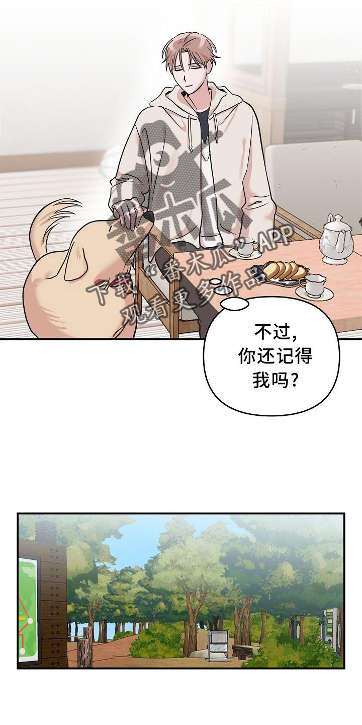 《吸血鬼困局》漫画最新章节第17章：喜欢免费下拉式在线观看章节第【19】张图片