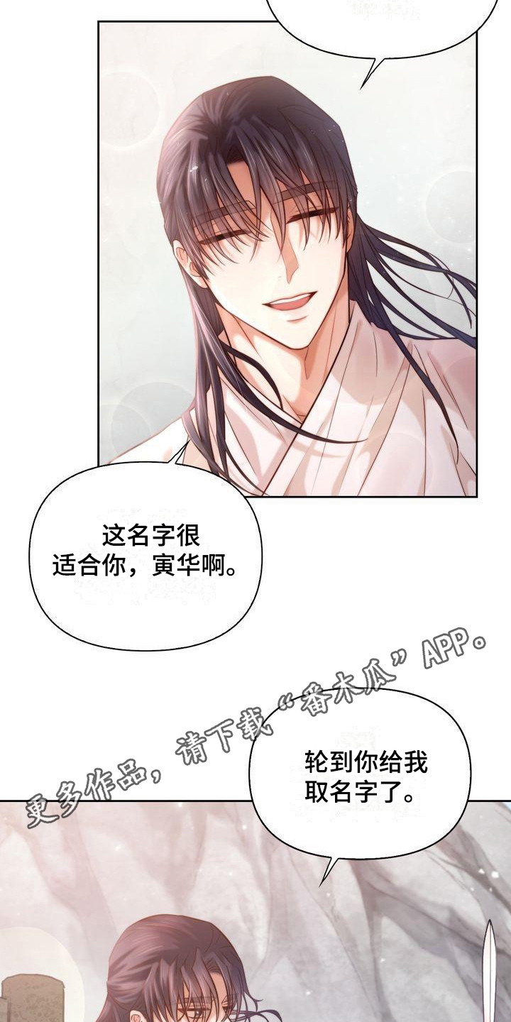 《悬崖上的明月》漫画最新章节第5章：取名免费下拉式在线观看章节第【19】张图片