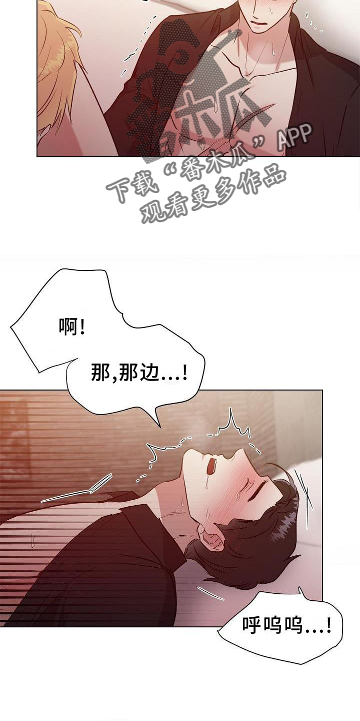 《新的牢笼》漫画最新章节第14章：开心免费下拉式在线观看章节第【3】张图片