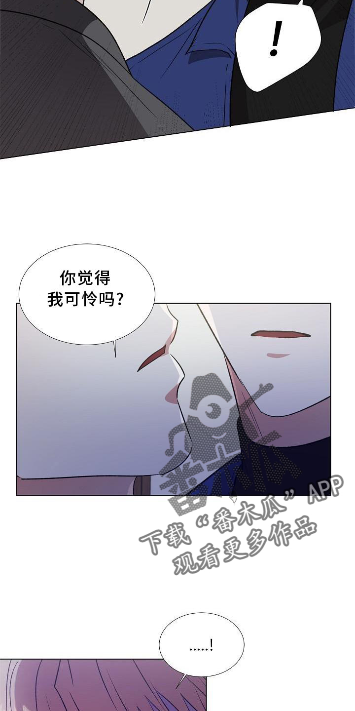 《新的牢笼》漫画最新章节第16章：行动免费下拉式在线观看章节第【12】张图片