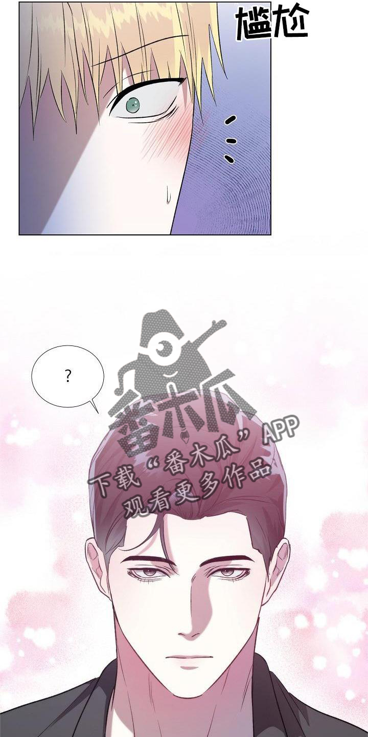 《新的牢笼》漫画最新章节第16章：行动免费下拉式在线观看章节第【5】张图片