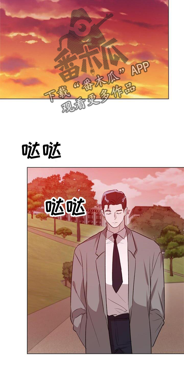 《新的牢笼》漫画最新章节第30章：偶遇免费下拉式在线观看章节第【7】张图片