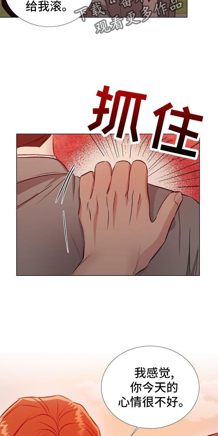 《新的牢笼》漫画最新章节第31章：配合免费下拉式在线观看章节第【17】张图片