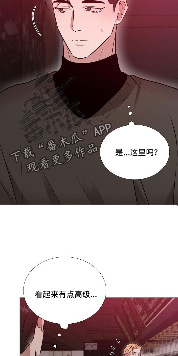 《新的牢笼》漫画最新章节第34章：不要再想了免费下拉式在线观看章节第【5】张图片