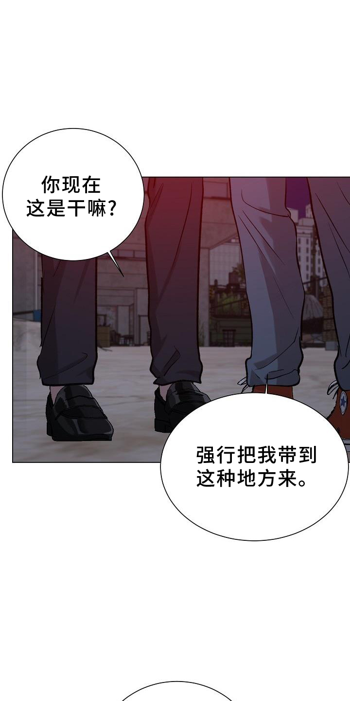 《新的牢笼》漫画最新章节第48章：物以类聚免费下拉式在线观看章节第【6】张图片